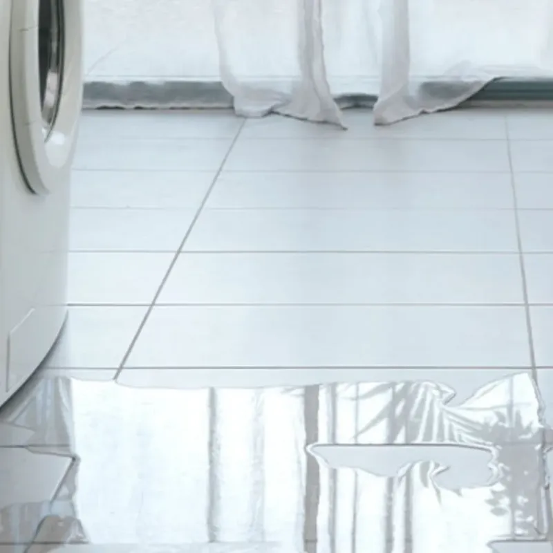 Appliance Leak Cleanup in Fulton County, IL