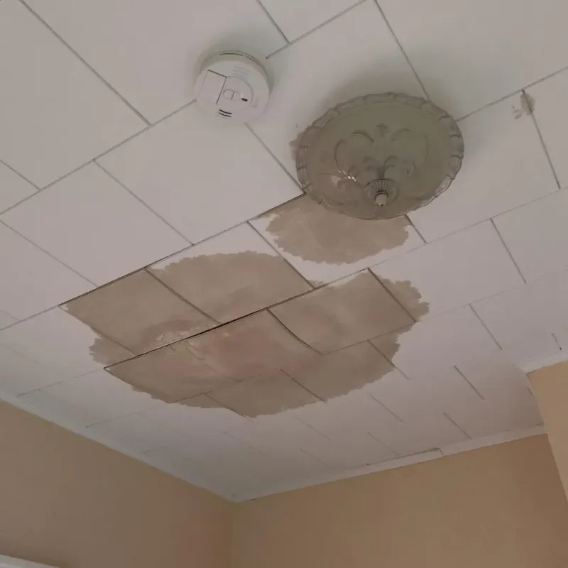 Ceiling Water Damage Repair in Fulton County, IL