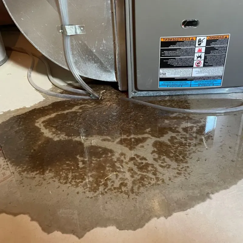 Pipe Burst and Leak Restoration in Fulton County, IL